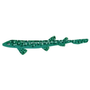 Jade Coral Cat Shark